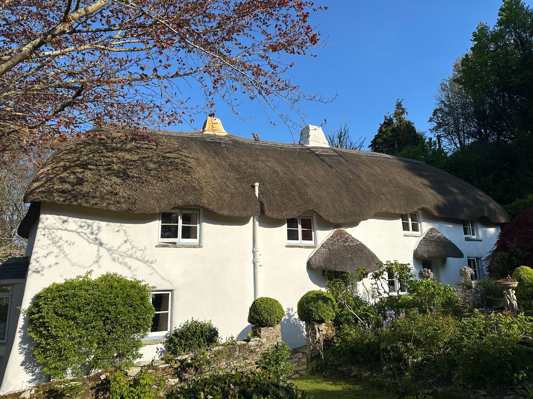 Thatched cottage finished in white