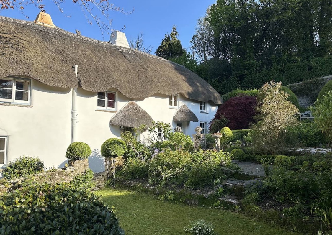White thatched cottage beside a garden